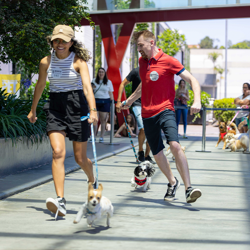 Norte Shopping promove “Pet Day” com desfile, adoção e palestras sobre bem-estar animal