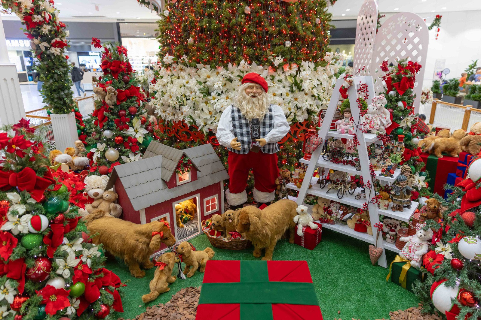 Horário especial de fim de ano