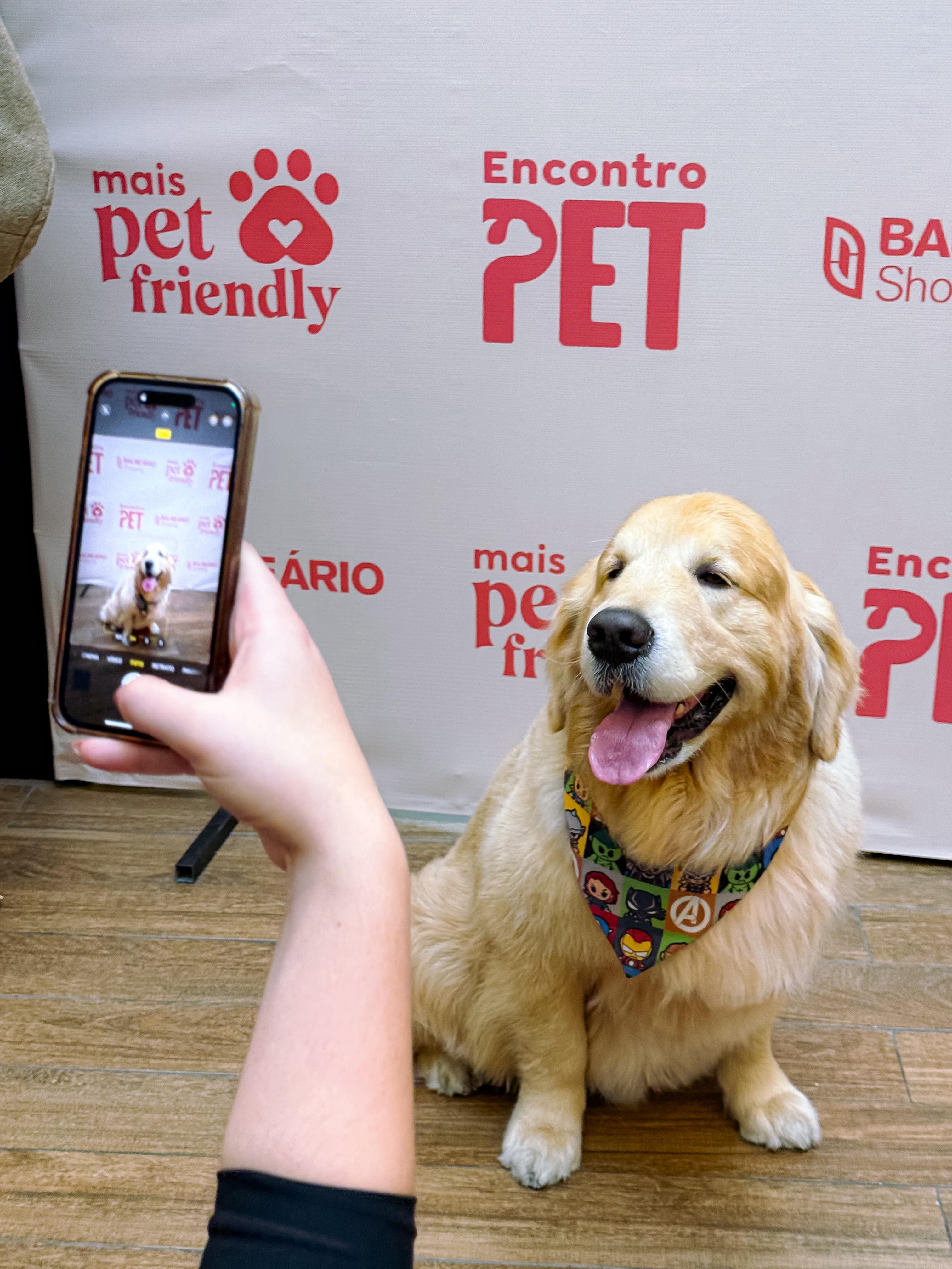Balneário Shopping promove encontro de Goldens, neste domingo