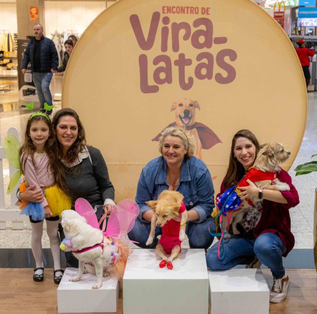 1º Encontro de Vira-latas em Blumenau é sucesso