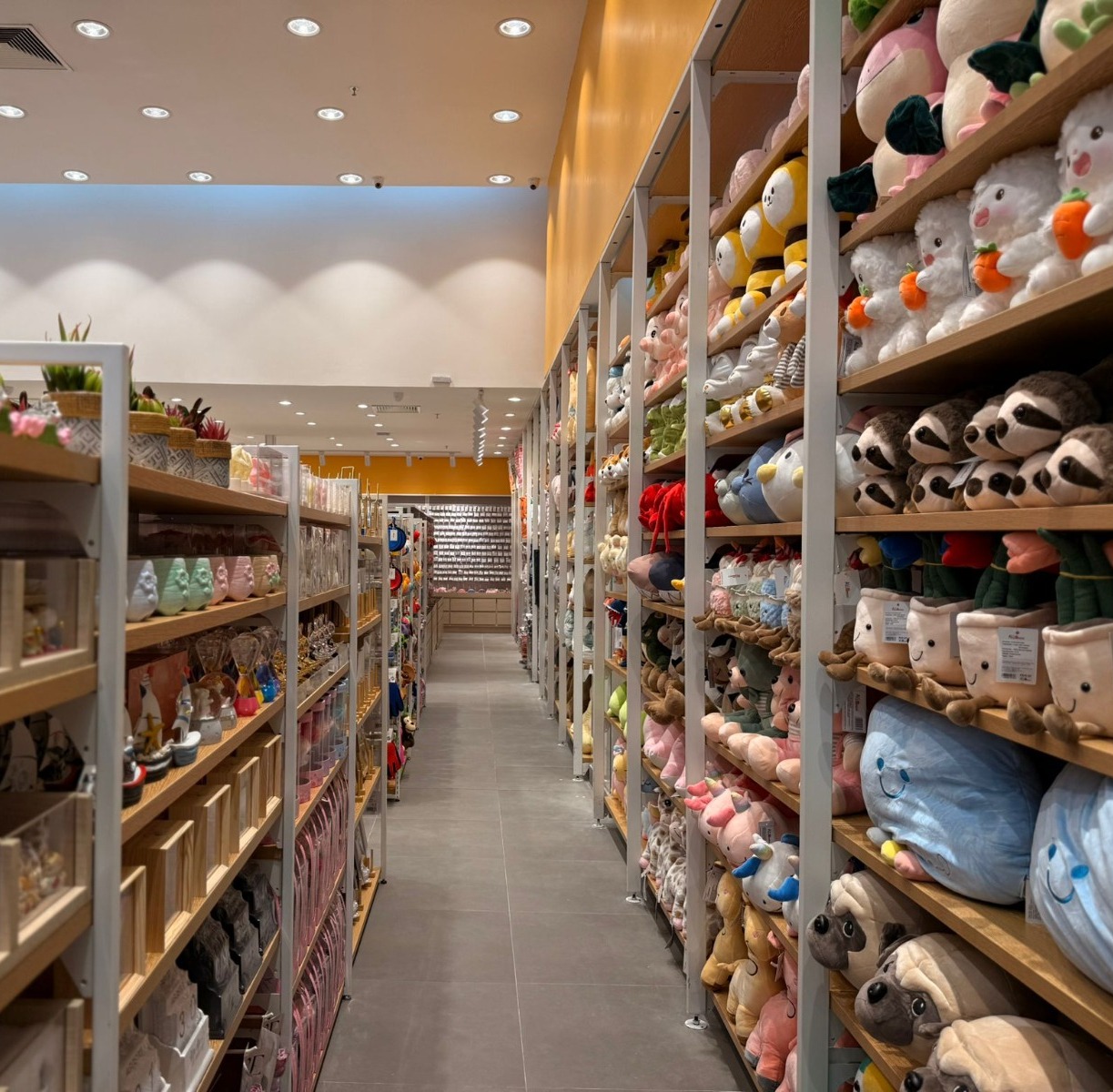 Allmini Inaugura Loja