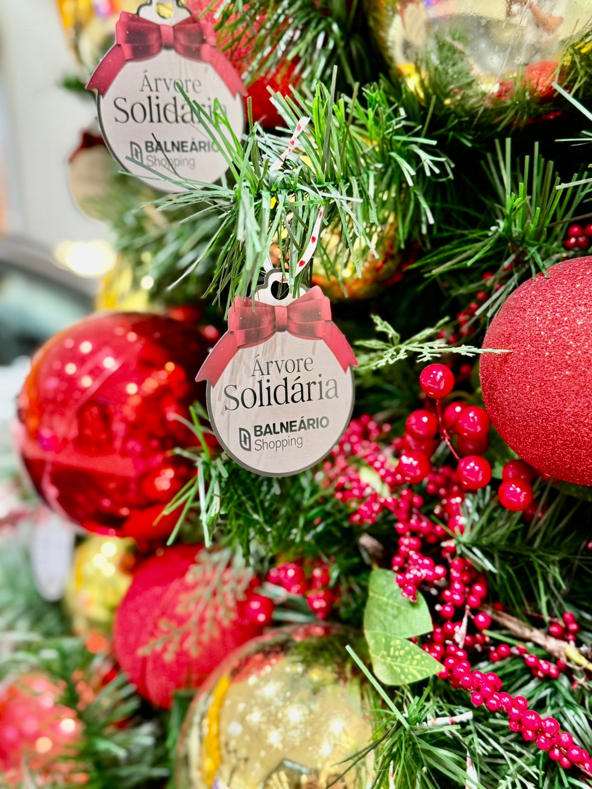 Balneário Shopping promove campanha para arrecadar presentes de Natal para crianças da região