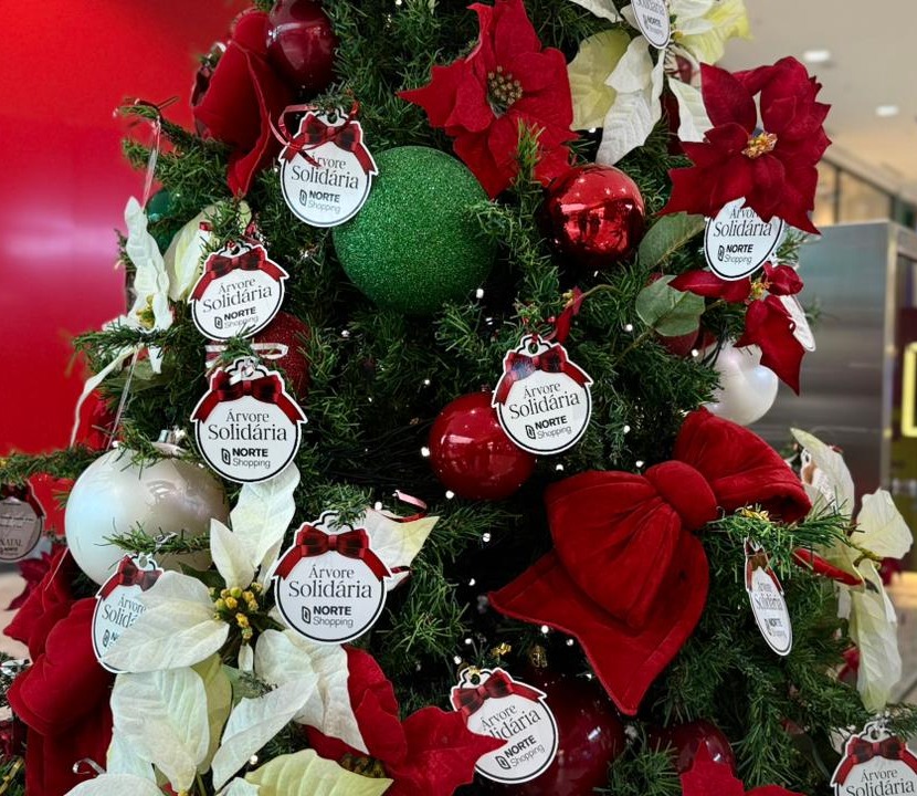 Árvore Solidária arrecada brinquedos nos shoppings Almeida Junior