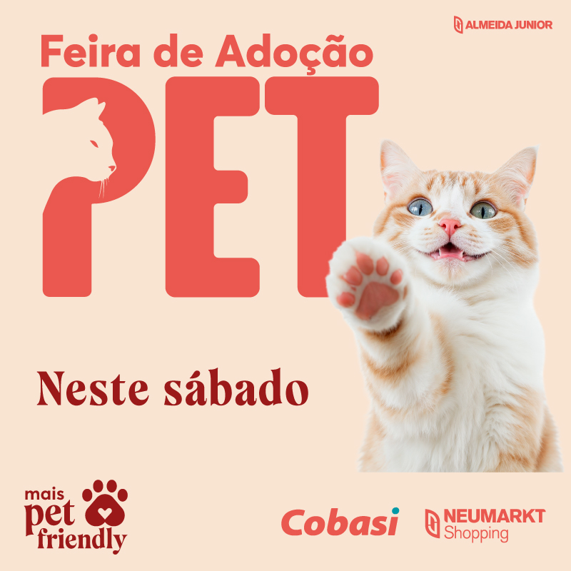 Feira de Adoção – Gatos